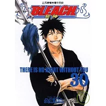 BLEACH 死神 30