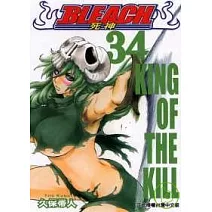 BLEACH 死神 34