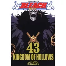 BLEACH 死神 43