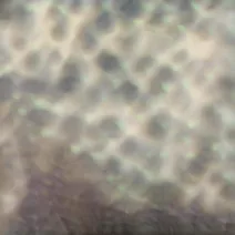 卡洛斯‧西帕 / OURSELVES, AS WE ARE