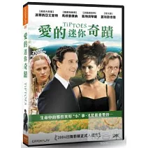 愛的迷你奇蹟 DVD