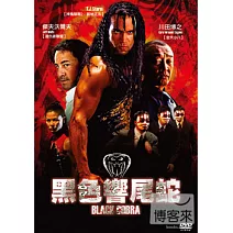 黑色響尾蛇 DVD