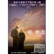 愛，無盡 DVD