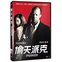 偷天派克 DVD