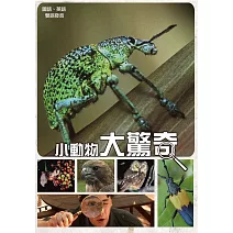 小動物大驚奇 DVD