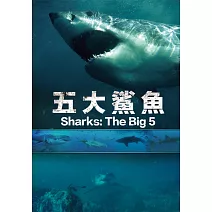 五大鯊魚 (DVD)