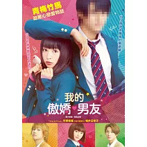 我的傲嬌男友 DVD