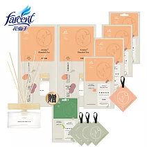 【去味大師】竹木香2正+4香氛袋-玫瑰烏龍