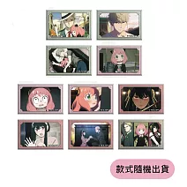 SPY×FAMILY間諜家家酒 胸章 隨機款式