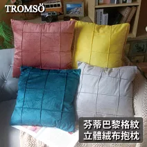 TROMSO芬蒂巴黎格紋立體絨布抱枕 絲絨紅