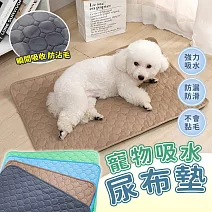 【EZlife】寵物強力吸水隔尿墊M(60x45cm)  咖啡色