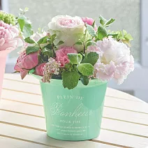 【日本Green House】Plein de bonheur 塑膠盆栽M ‧ 蘋果綠