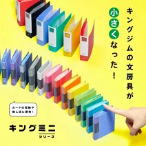 【KING JIM】迷你彩色資料簿 4色組合  暖陽