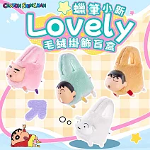 TOPTOY 蠟筆小新手拎包系列毛絨掛飾盲盒 _單入隨機款