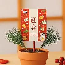 【日本Green House】迎春招福插飾 ‧ 達摩招財貓