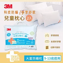 3M 大童防蹣枕附純棉枕套9-13歲適用 超值2入組