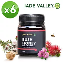 【紐西蘭 Jade Valley】灌木叢林-百花蜜(1kg)-6入組