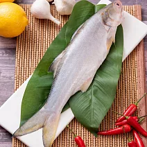 【統一生機】午仔魚 250g/包