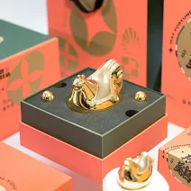 【WUZ屋子】無敵發財雞 金雞母組  招財金