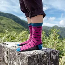 【LEEDS WEATHER】 Tournament - 翹鬍可可棕∣抑菌除臭、台灣製∣設計襪  酒紅色∣23 - 28 cm