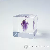 【usaginonedoko 京都兔之床】Sola cube Mineral礦石立方塊 紫水晶 (宙言葉：充滿品味) | 鈴木太太公司貨