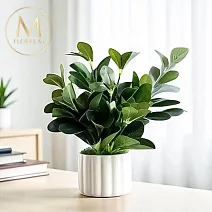【Floral M】居家正能量福祿桐仿真綠植