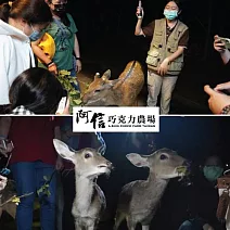 墾丁【阿信巧克力農場】夜探梅花鹿活動券
