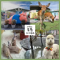 宜蘭星夢森林劇場門票 單人全票