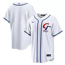 NIKE CHINESE TAIPEI 男 經典球衣 白 RE26-0GZ1-WBF-UFA S 白色