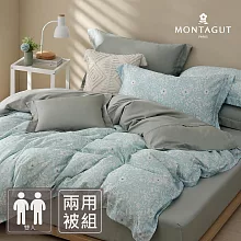 MONTAGUT-60支300織紗萊賽爾纖維-天絲兩用被床包組(綠抹春饗-雙人)