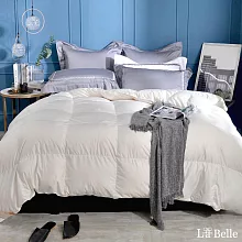 義大利La Belle《100%法國水鳥羽毛絨暖冬被》--雙人 白色