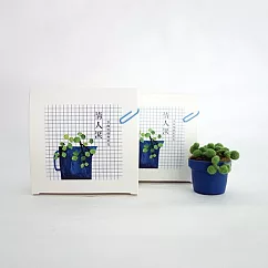 羊毛氈手創館【多肉植物 &bull; 手作包】情人淚