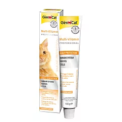 【GIMBORN 竣寶】超級維他命膏-專業版100g(有效日期2026/2/28)