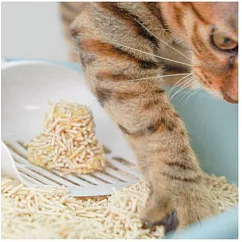 【NU4PET 陪心寵糧】豆沙包|超凝結條形豆腐砂-7L/包