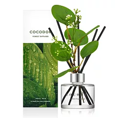 【cocodor】森林系列擴香瓶120ml─ 檸檬尤加利