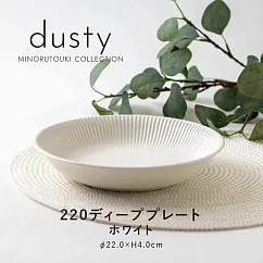 【日本Minoru】Dusty透釉陶瓷深盤22cm ‧ 白