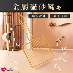 【上手家居】金屬貓砂鏟(貓鏟/貓沙鏟/砂鏟/鏟屎/礦砂鏟/貓砂鏟子/金屬貓砂鏟/貓鏟子/鐵貓砂鏟) 金色(1cm)