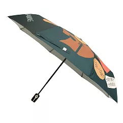 【富雨洋傘】台南400紀念自動傘|聯名授權_晴雨兩用(H59) 歲沐綠