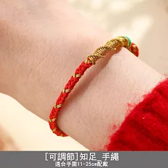 【水星記】手鍊 2025金蛇開大運蛇麼都有紅線編織手繩 _知足