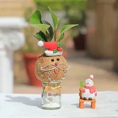 【迎光】耶誕老人苔球