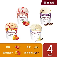 【Haagen─Dazs 哈根達斯】夏日果戀品脫4入組