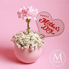 【Floral M】單隻康乃馨鮮花盆花禮─ Pinky Lady蜜桃粉