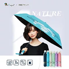 【雙龍牌】北極熊輕量黑膠自動開收傘防曬自動傘(抗UV防風晴雨傘折傘B6061E) 天空藍
