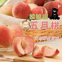 黑貓嚴選【周家農場】五月桃(12粒/1087.5g/盒，不含盒重)05/20~05/27間出貨