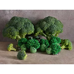 WFP Dacho Farm 北海道農場吊飾鑰匙圈/花椰菜 綠色