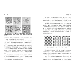 博客來 學數學 弄懂這39個數字就對了 用數學的語言看見這個世界的