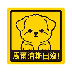博客來 Double Q 萌犬出沒寶貝貼 馬爾濟斯犬