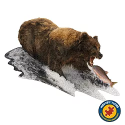 博客來 I Am 拼圖 我是灰熊 1000 系列 極限逼真動物 完成品超巨大 高挑戰性