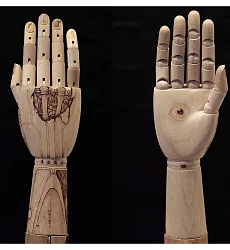 【玲廊滿藝】高智能-skynet遺落之手30x15cm