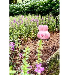 【玲廊滿藝】twzoe-Amour17x15cm